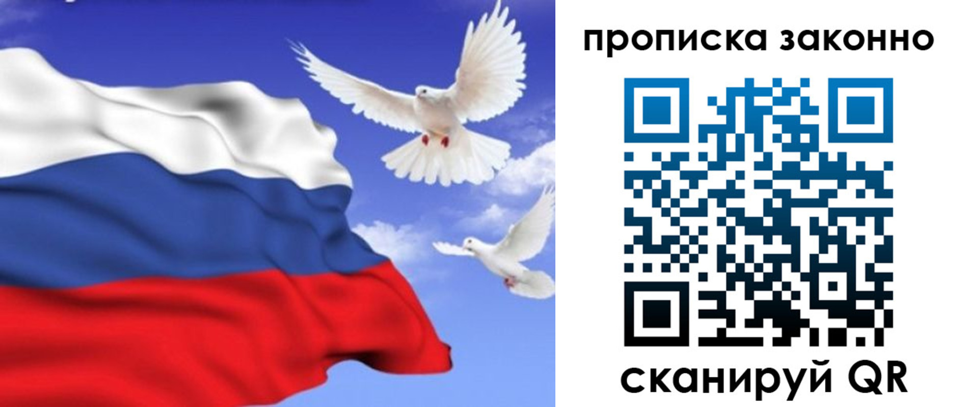 прописка в Белебее